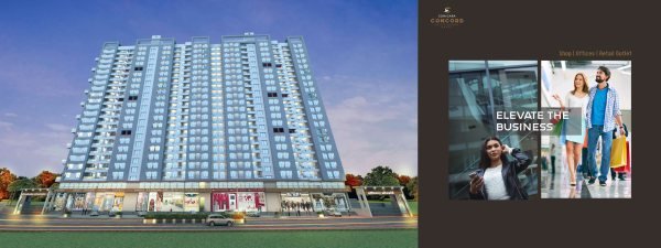 Sonigara Concord Ravet