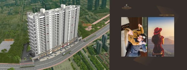 Sonigara Concord Ravet