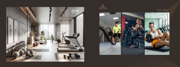 Sonigara Concord Ravet