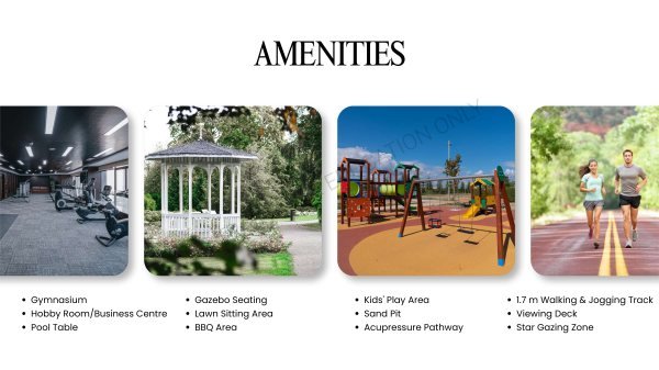 Prapti Codename Elegant Punawale Amenities
